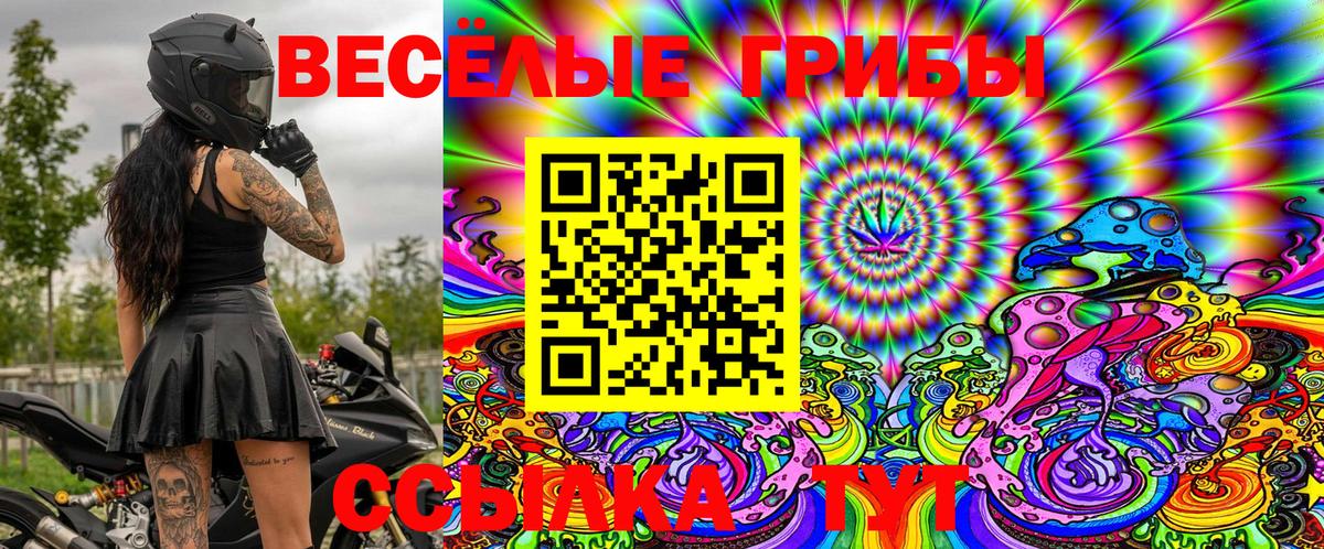 Псилоцибиновые грибы MAGIC MUSHROOMS Подольск